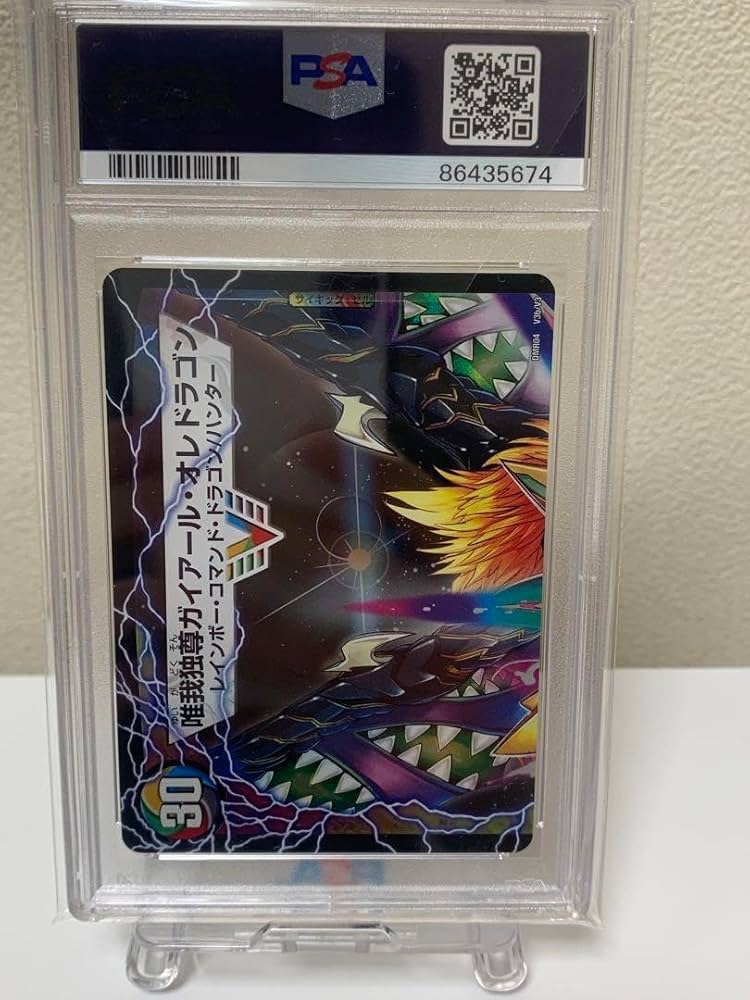 勝利のガイアール・カイザーpsa10 初期